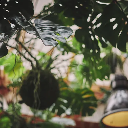 The Legacy By 2go4 Center Βρυξέλλες