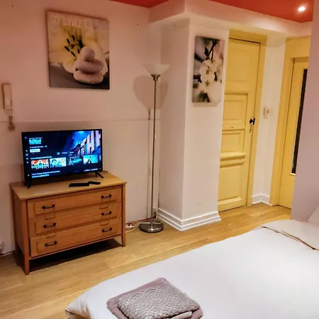 Modern Half-basement 1br Near Montgomery & Vub بروكسل