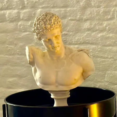 Spacious Bxl Loft Lägenhet *