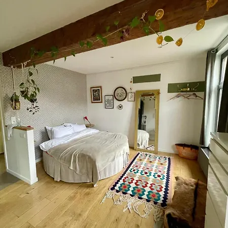 Cozy Studio-city Center Bruselas