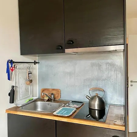 Cozy Studio-city Center Apartamento Bruselas