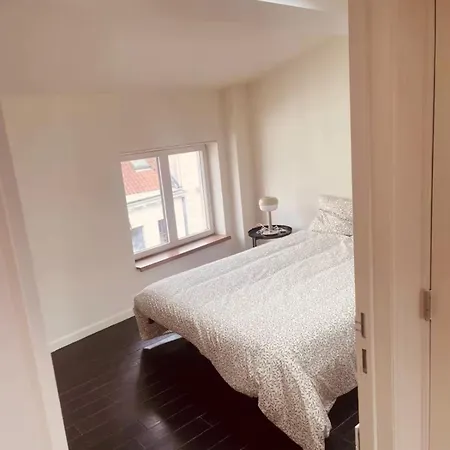 Spacious Terrace In The Heart Of Bruxelles