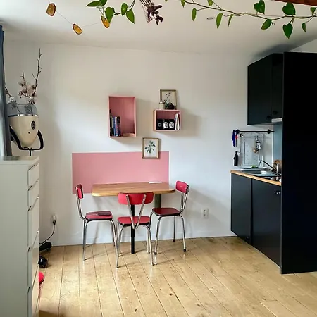 Apartamento Cozy Studio-city Center