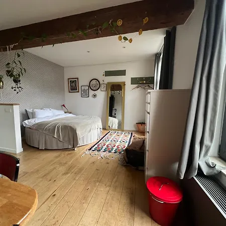 Cozy Studio-city Center Apartament