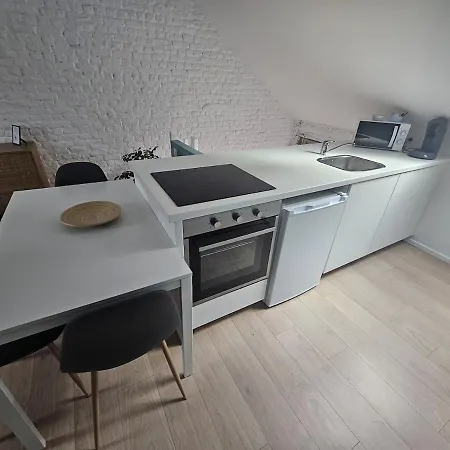 Design In Center Lägenhet Bryssel