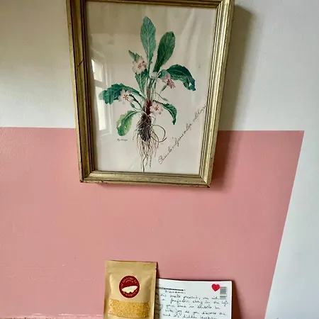 Apartamento Cozy Studio-city Center *