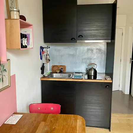 Cozy Studio-city Center Bruksela