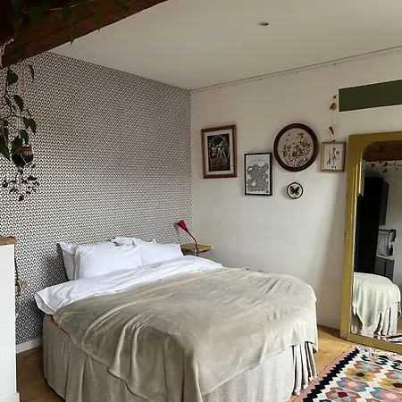 Cozy Studio-city Center Apartament