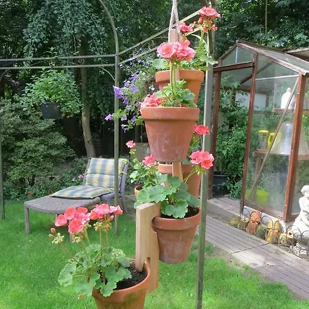 Bed & Breakfast Les Taillis Brusel