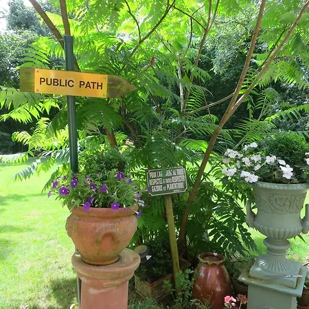 Bed & Breakfast Les Taillis