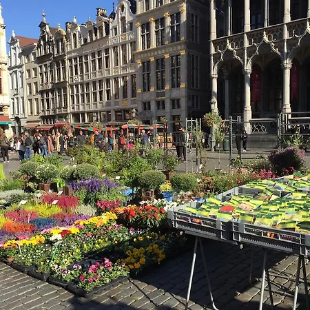 Les Bouleaux * Brüssel