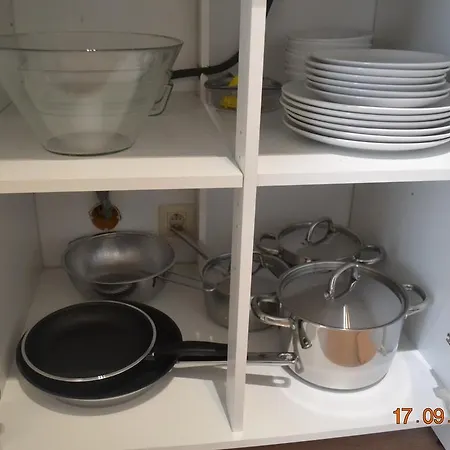 Pellini