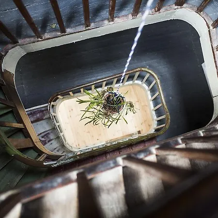 Vendégház Les Chambres Du Petit Lion *