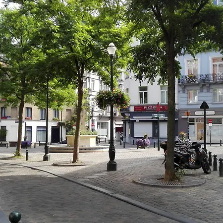 36 3* Brussels