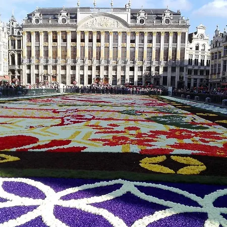 36 Brussels