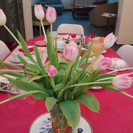 Bed & Breakfast 36 Bryssel