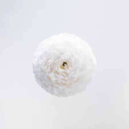 Bed & Breakfast 36 3*