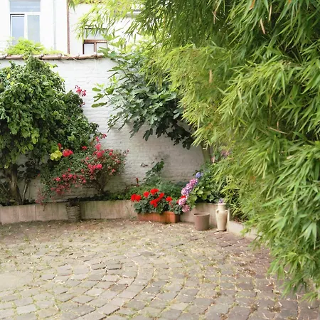 Bed & Breakfast Impasse Pitchoune Bruxelles