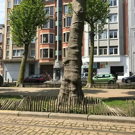 Апартаменты Sainte Catherine Art Deco