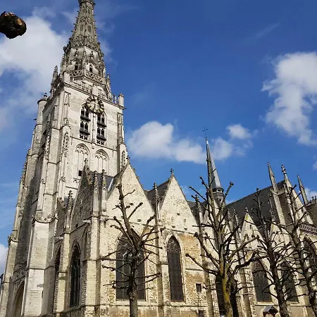 Reine Astrid Brussels