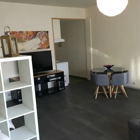 公寓 Vaste Studio Quartier Louise Et Vleurgat
