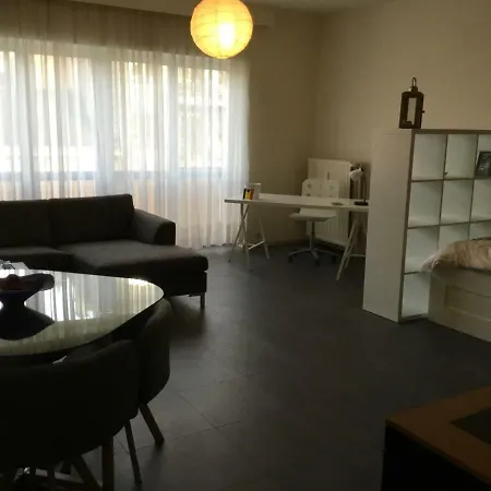 Vaste Studio Quartier Louise Et Vleurgat Apartment *