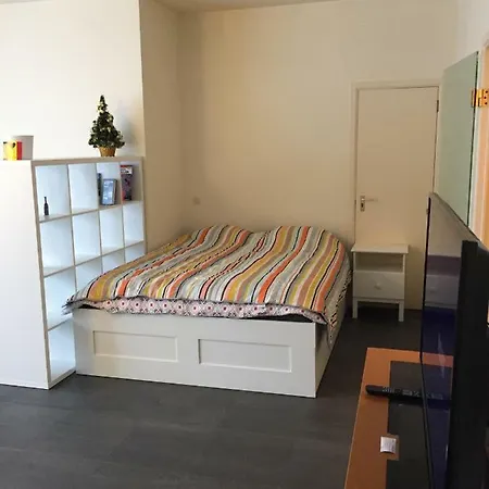 Vaste Studio Quartier Louise Et Vleurgat 布鲁塞尔