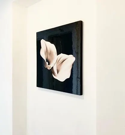 Hive Midi Center Gæstehus 3*