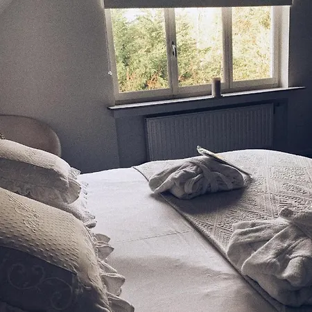 Le 36 Bed & Breakfast Brussels