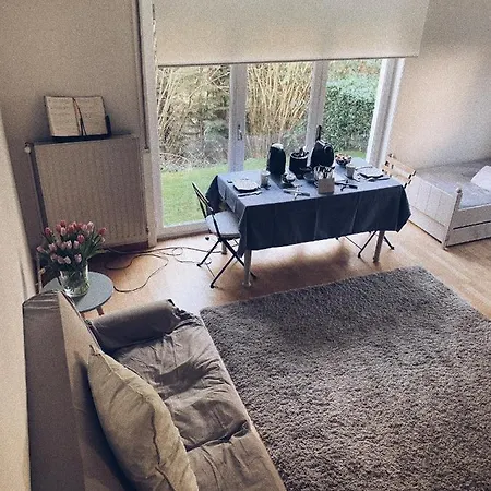 Le 36