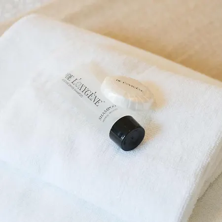 Appartement Charming Triplex Near Avenue Louise Brussel