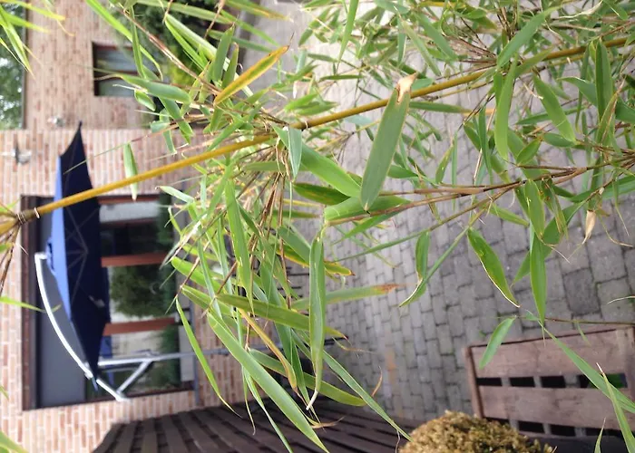 Apartment Easyway To Sleep