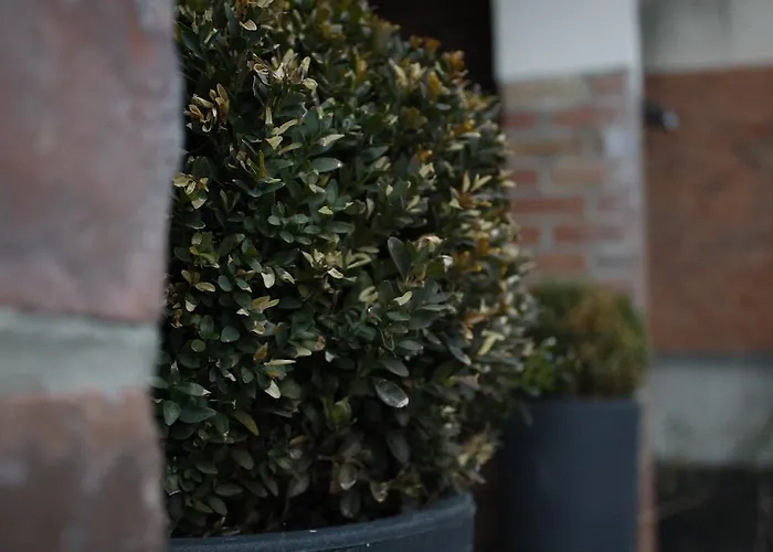 Easyway To Sleep Apartment