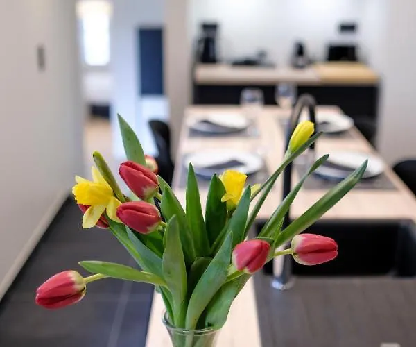 Fabulous In Chatelain Area Appartement