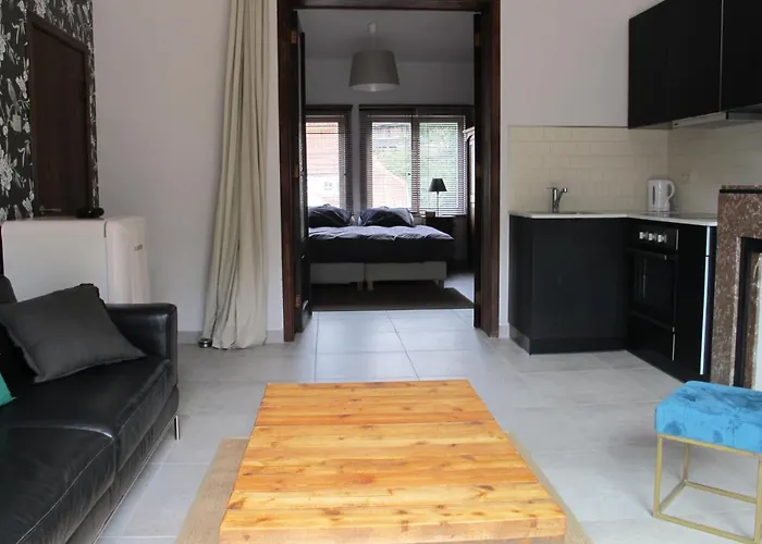 Downtown With Terrace Bruxelles