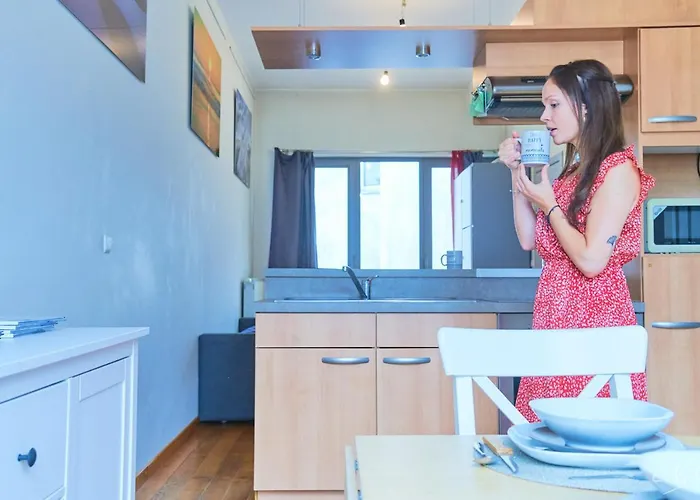 Au Plein Centre De La 布鲁塞尔