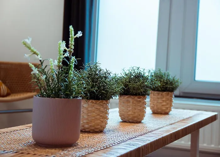 Smartflats - Appartement *