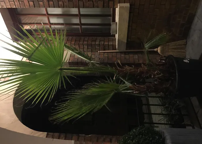 Easyway To Sleep * Brüssel