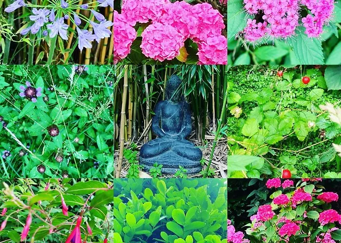 Appartement Bijou > Parvis St Pierre