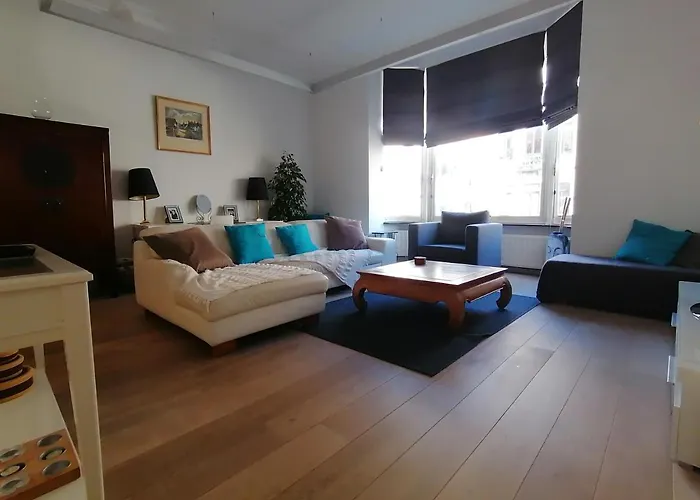 Brugmann Loft דירה *