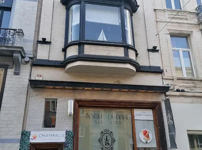 公寓 Brugmann Loft 布鲁塞尔