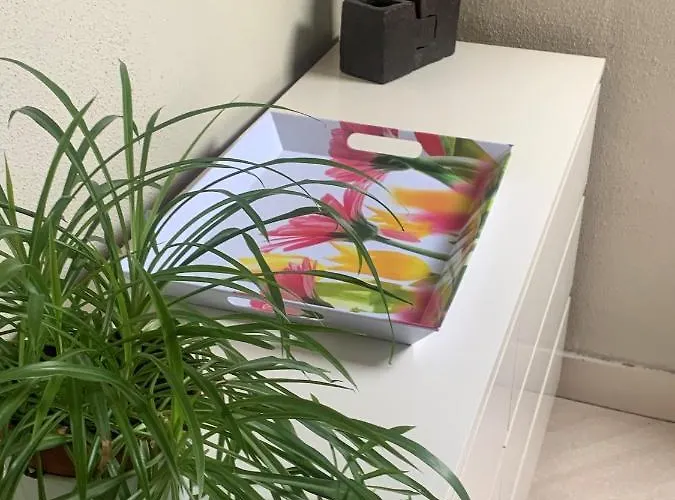 Homestay Brussels Guest House