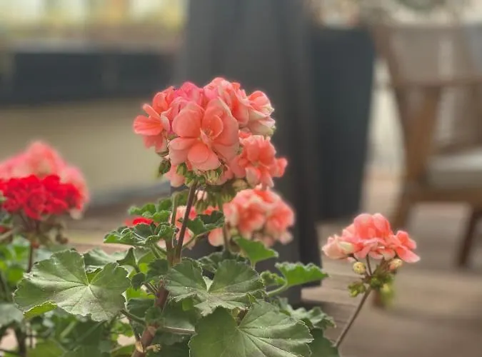 Moderne Centre De Bruxelas