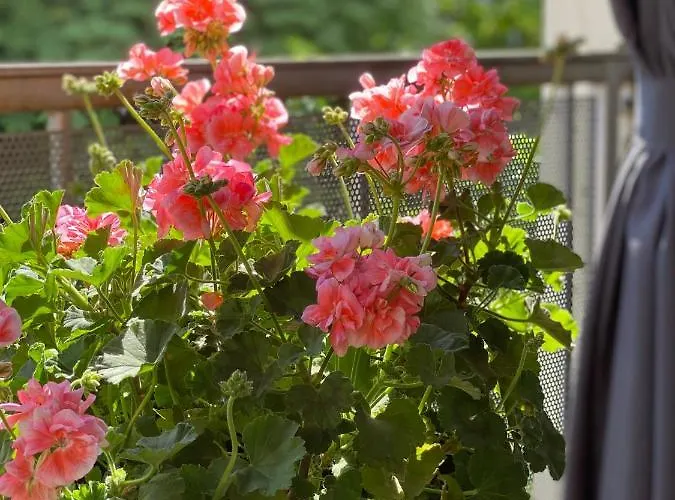 Moderne Centre De * Bruxelas