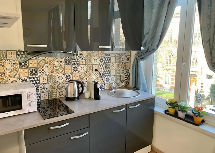 Charming Europarlament Resedence Appartement