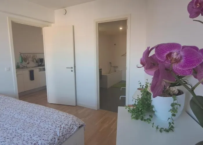 Apartman Park Josaphat *