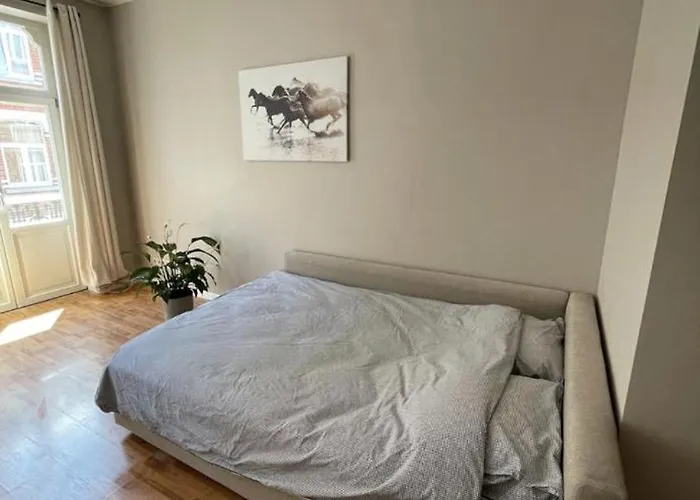 Lumineux Dans Un Quartier Anime #2