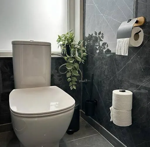 Magnifique Duplex Брюссель