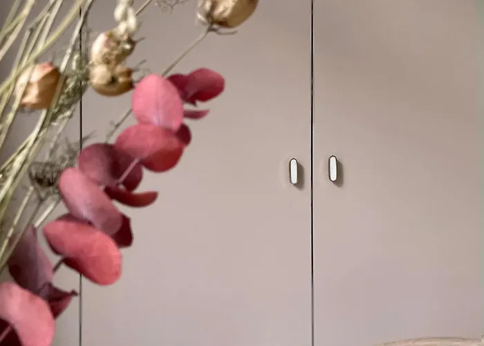 公寓 Maison Cokoon Ixelles