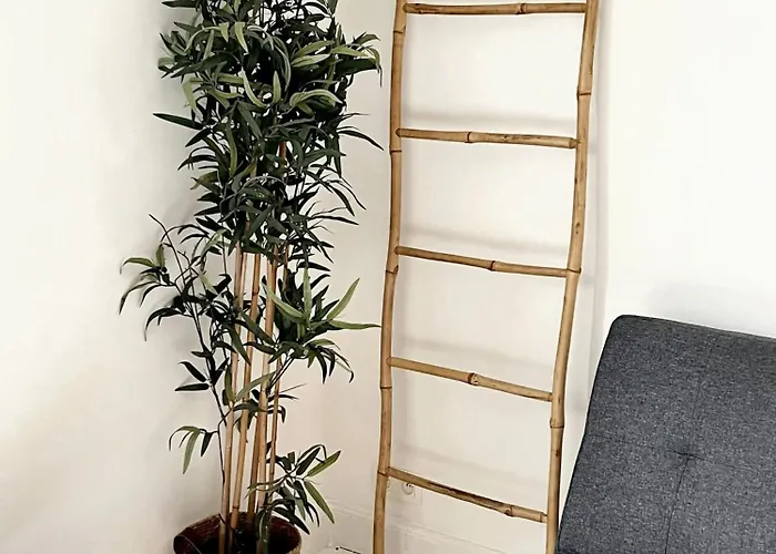 Apartment Comfortable In 35m² Terrace With Bbq *